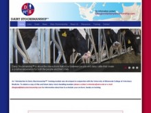 DairyStockmanship