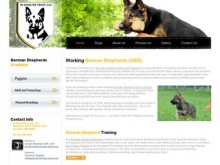 Working GSD