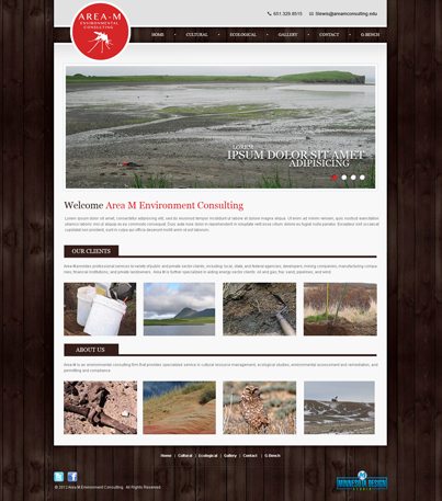 Web Design Mockup